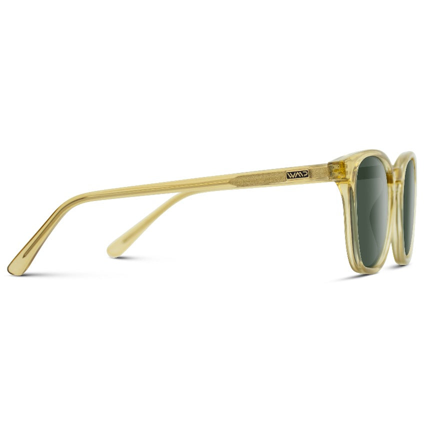 Austin | Polarized