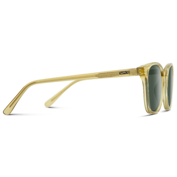 Austin | Polarized