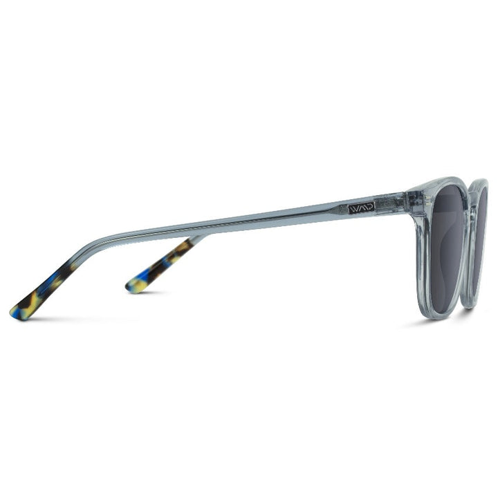Nick | Polarized