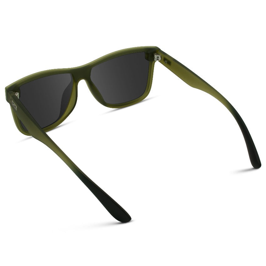 Zane | Polarized