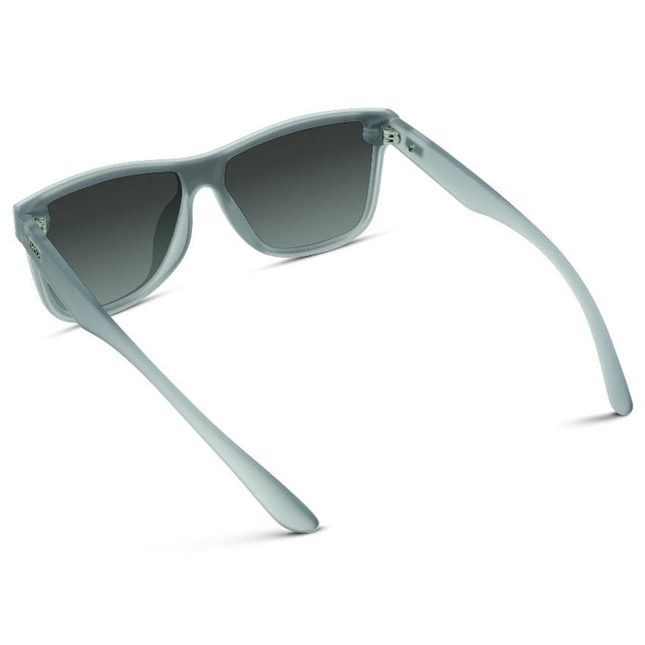 Zane | Polarized