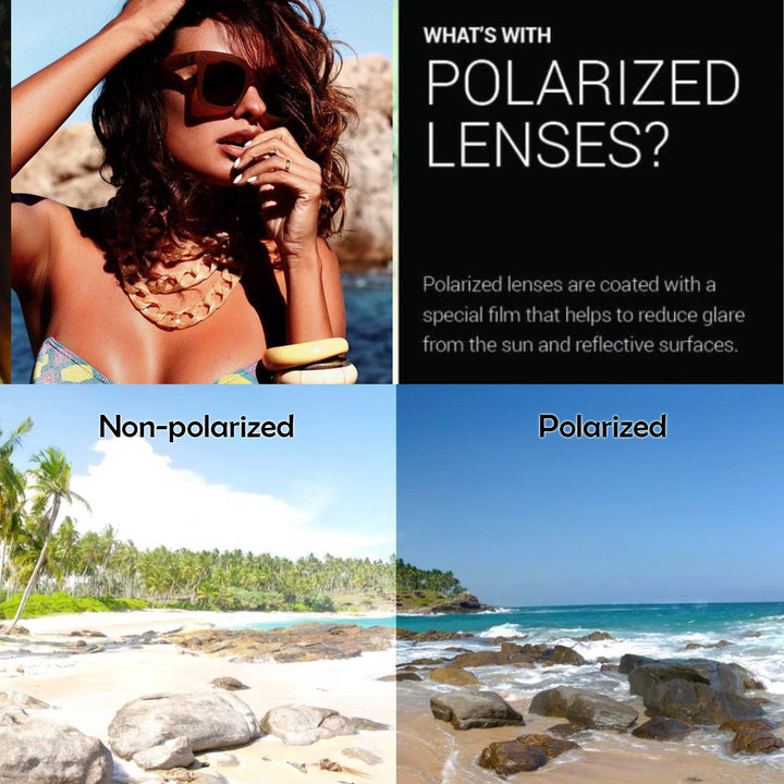 Bold Oversize Square Horned Rim Flat Lens Sunglasses