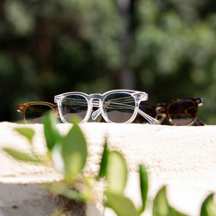 Clear Acetate Polarized Square Sunglasses - Benson