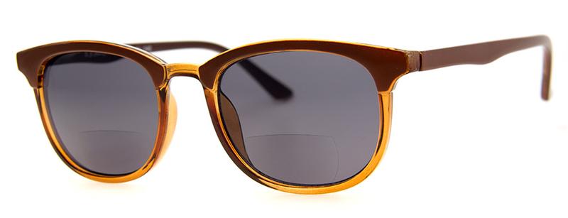 Assuming Bifocal Reading Sunglasses