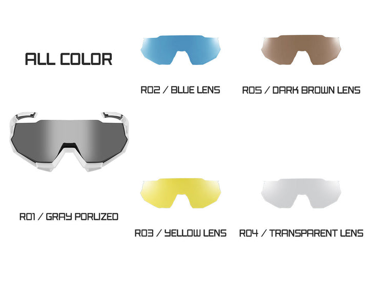 ROCKBROS Polarized Sports Sunglasses with 4 Interchangeable Lens