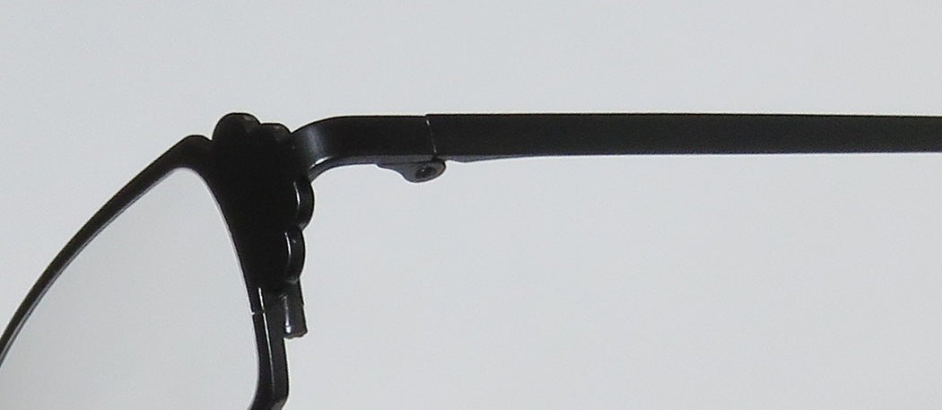 Harry Lary's Ferrary Eyeglasses