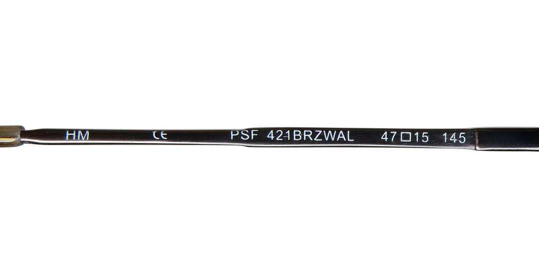 SmartFlip 421-1 Eyeglasses