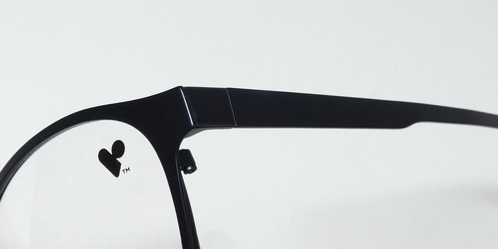 Flexon 1002 Eyeglasses