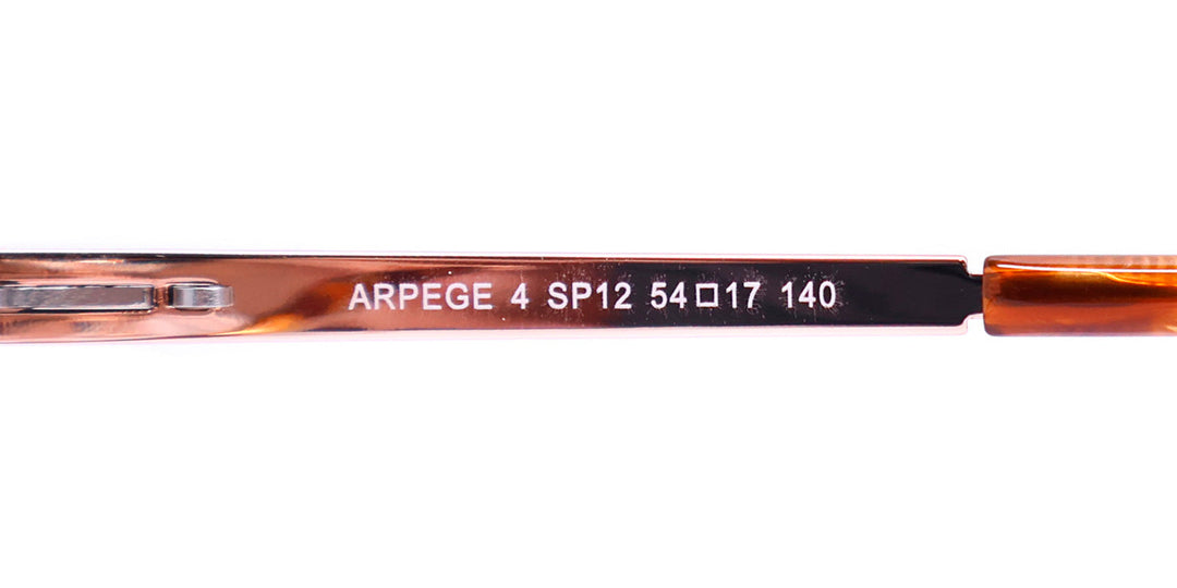 Morel Aprege 4 Eyeglasses