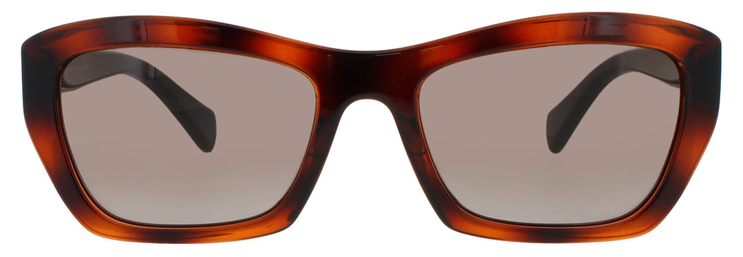 Salvatore Ferragamo Sf958s 214 Sunglasses