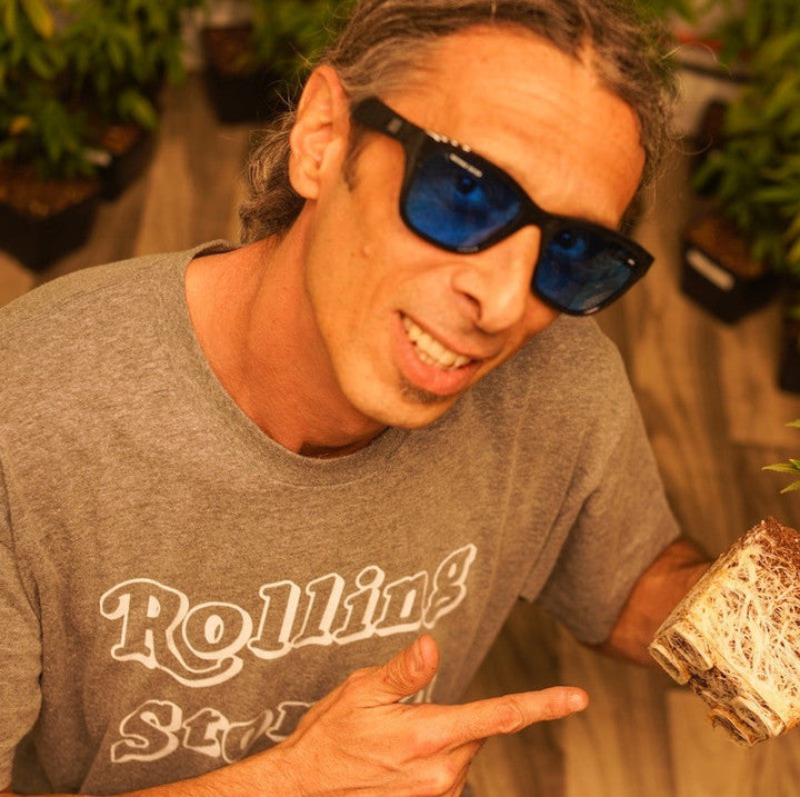 Coup HPS Transition | Grow Room Glasses