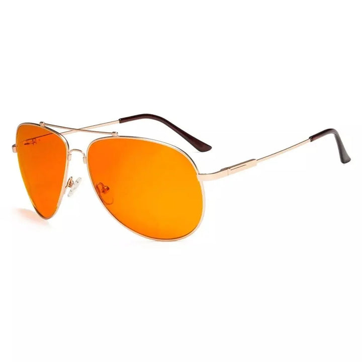 Titanium Bifocal Computer Readers DSSG1802